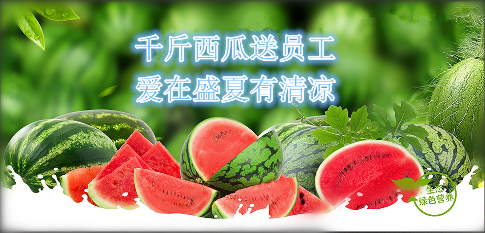 通達軟件公司： 千斤西瓜送員工，愛在盛夏有清涼